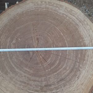 Holzplatte rund
